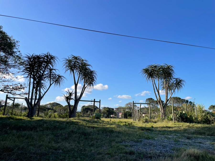 0 Bedroom Property for Sale in Bathurst Eastern Cape